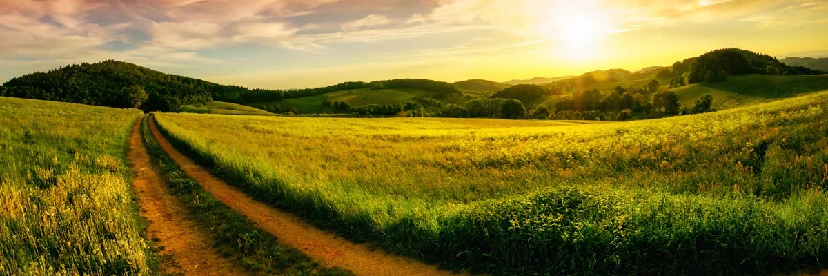 Find Your Path Banner